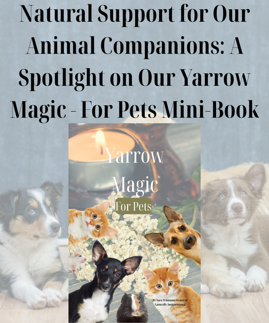 Natural Support for Our Animal Companions: A Spotlight on Our Yarrow Magic - For Pets Mini-Book