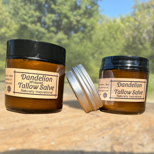 Beef Tallow Dandelion Salve