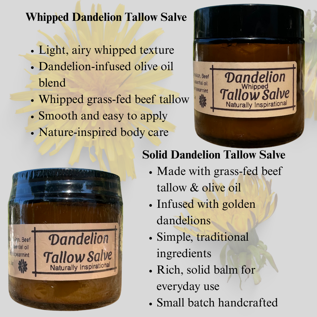 Beef Tallow Dandelion Salve