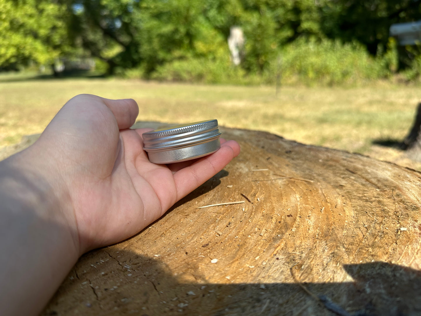 Beef Tallow Dandelion Salve