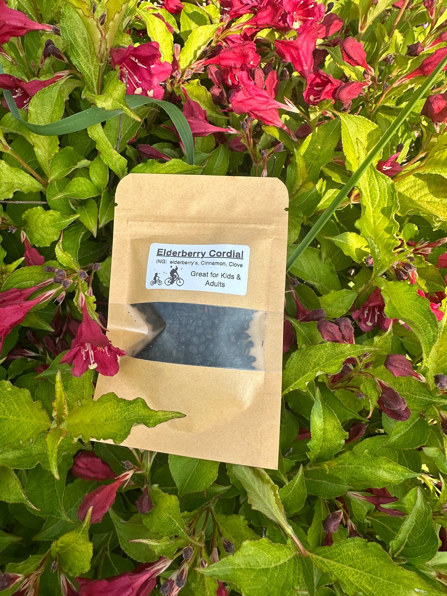 Elderberry Cordial Bomb