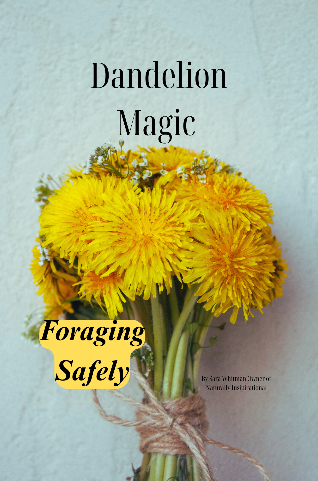 Dandelion Magic
