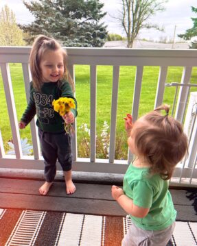 10 Things You Can Do with Dandelions