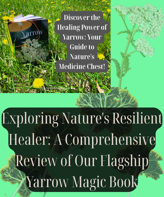 Exploring Nature's Resilient Healer: A Comprehensive Review of Our Flagship Yarrow Magic Book