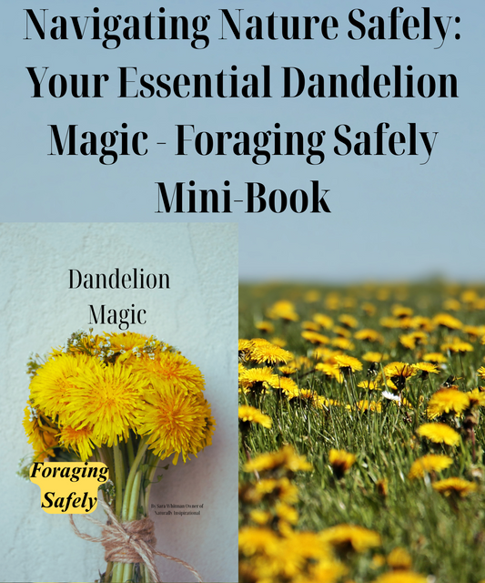 Navigating Nature Safely: Your Essential Dandelion Magic - Foraging Safely Mini-Book