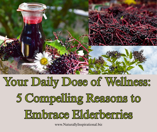 Your Daily Dose of Wellness: 5 Compelling Reasons to Embrace Elderberries
