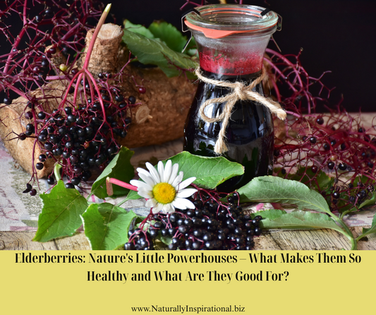Elderberries: Nature's Little Powerhouses – What Makes Them So Healthy and What Are They Good For?