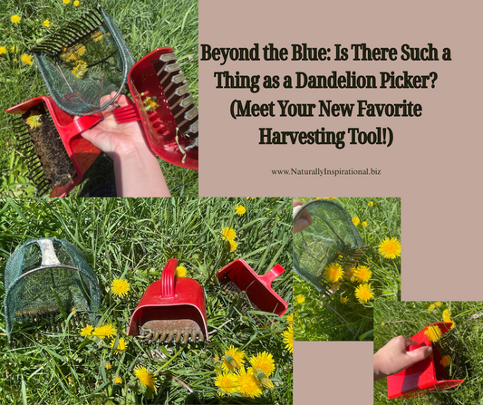 Beyond the Blue: Is There Such a Thing as a Dandelion Picker? (Meet Your New Favorite Harvesting Tool!)