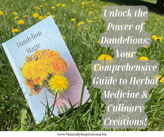Unlock the Power of Dandelions: Your Comprehensive Guide to Herbal Medicine & Culinary Creations!