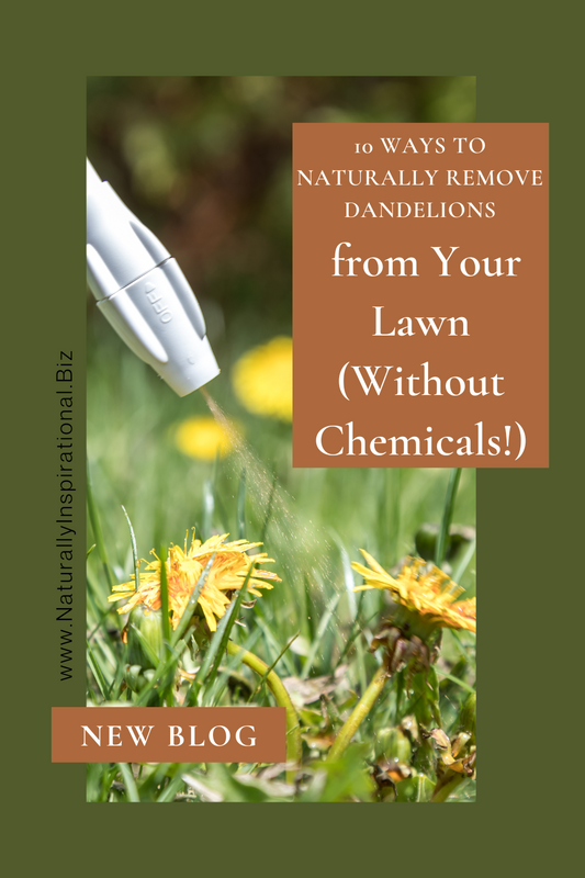 10 Ways to Naturally Remove Dandelions from Your Lawn (Without Chemicals!)