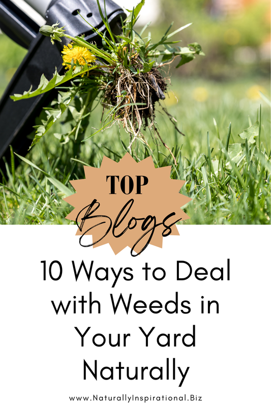 10 Ways to Deal with Weeds in Your Yard Naturally