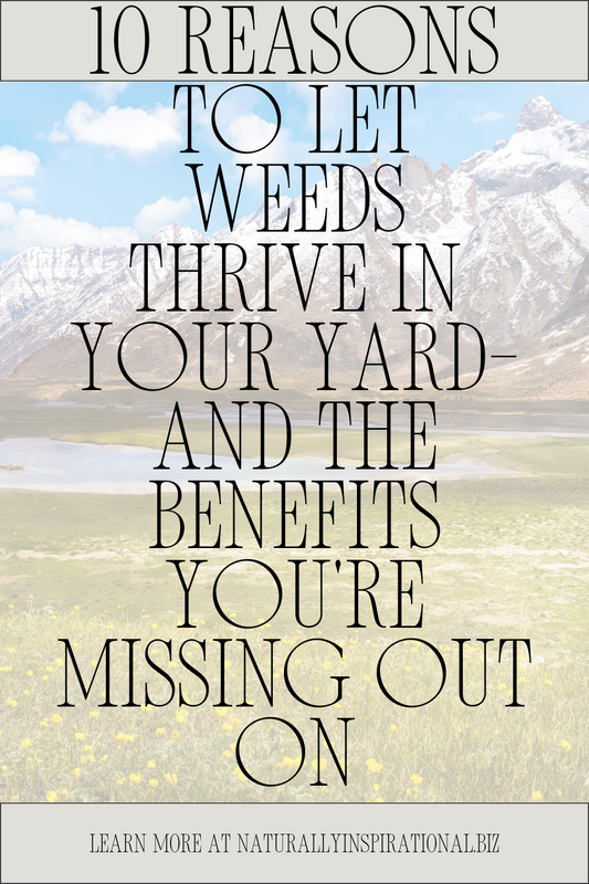10 Reasons to Let Weeds Thrive in Your Yard—and the Benefits You're Missing Out On
