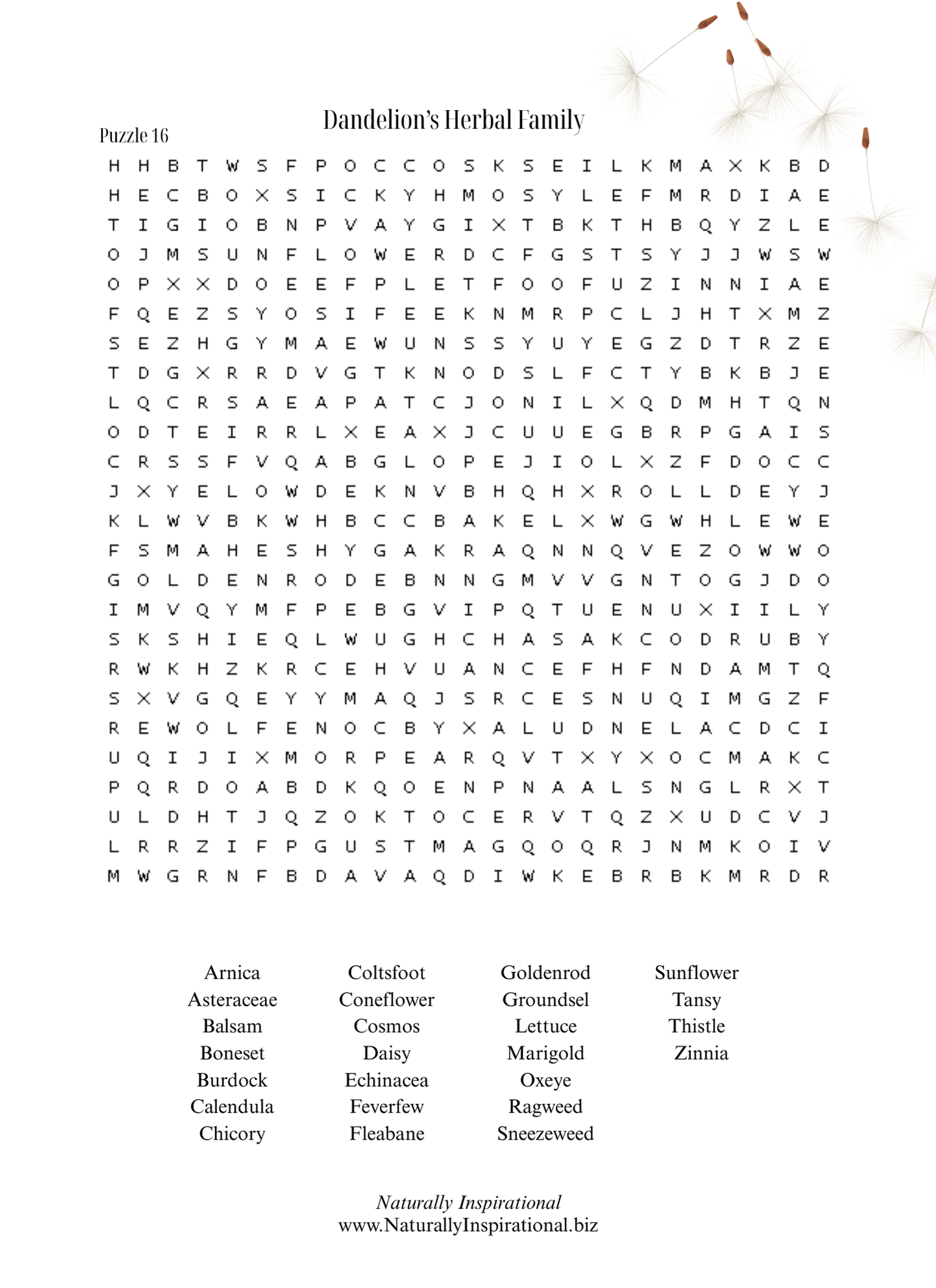 Crossword Puzzle Dandelion Themed