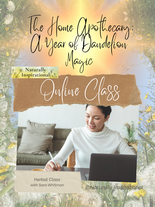The Home Apothecary: A Year of Dandelion Magic: A Guided Herbal Workbook for Beginners