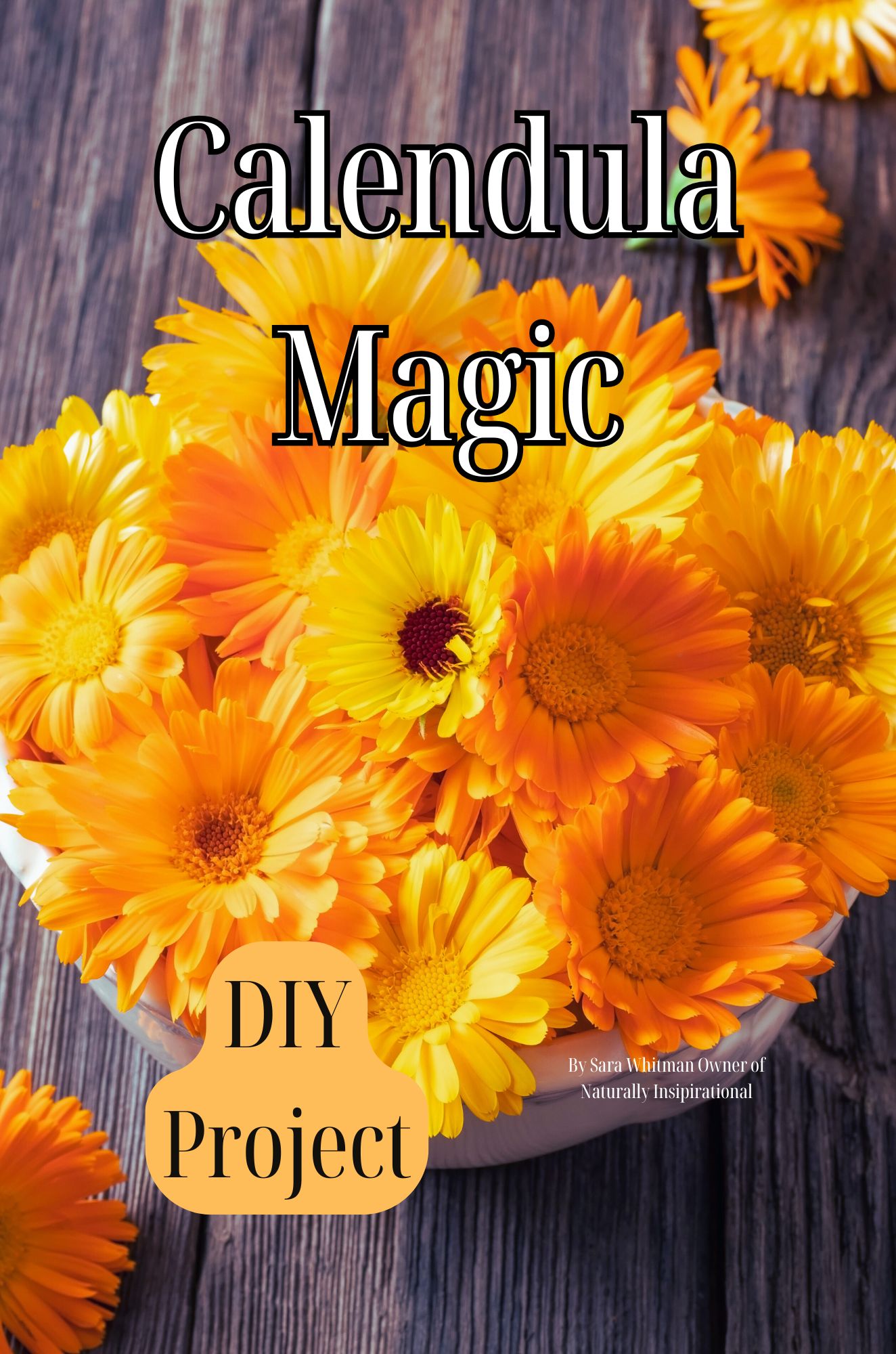 Calendula Magic