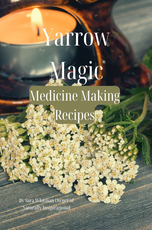 Yarrow Magic Medicine Making Recipes