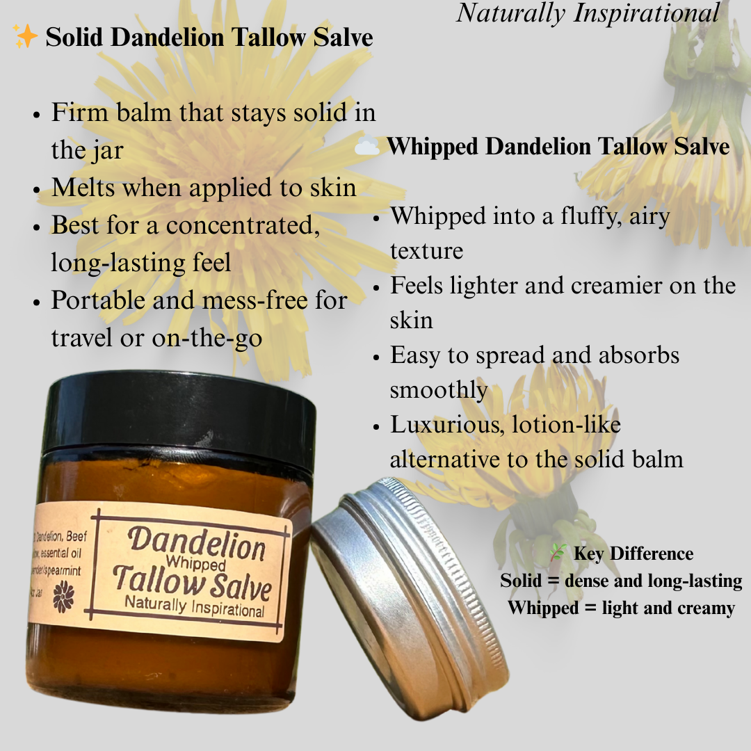 Beef Tallow Dandelion Salve