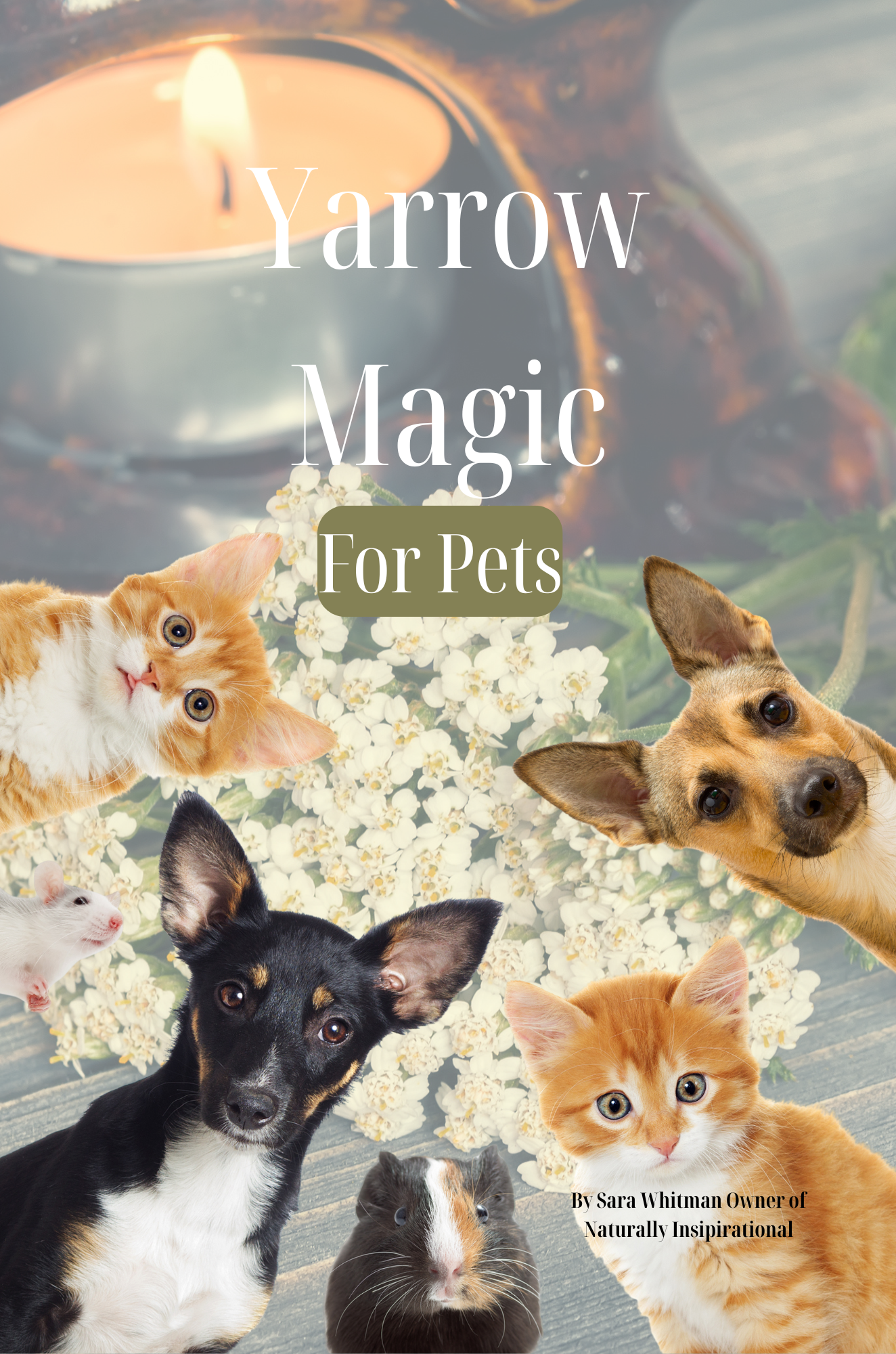 Yarrow Magic