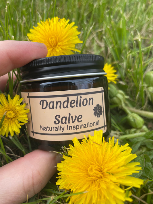 Beef Tallow Dandelion Salve