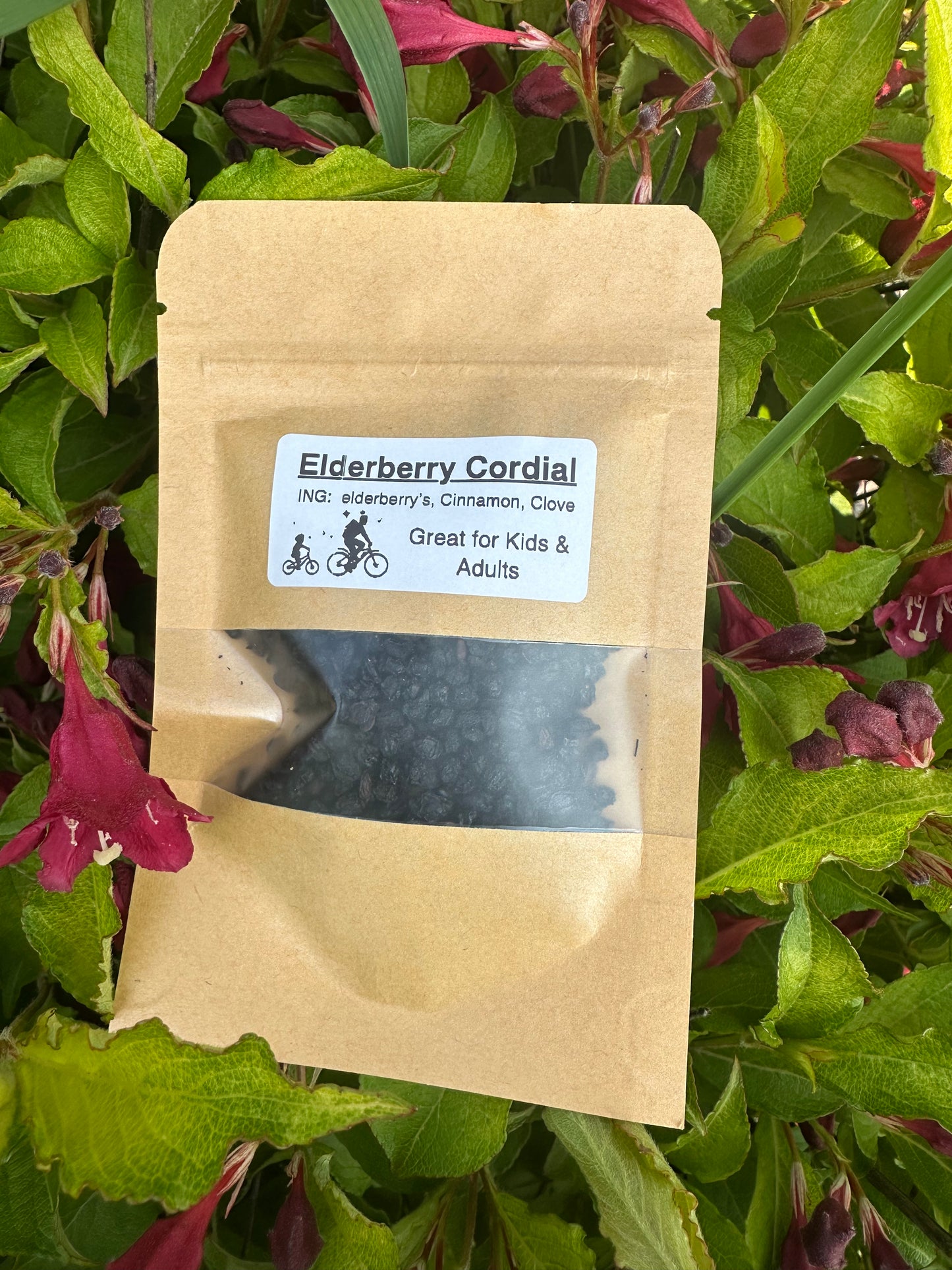 Elderberry Cordial Bomb