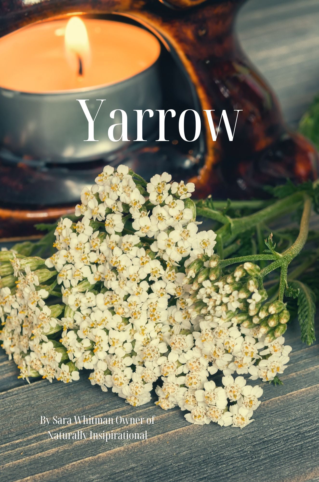 Yarrow Magic: Nature’s Medicine Chest: Herbal Wisdom, Recipes, and DIY Projects with Yarrow (Herbal Magic Book 2)