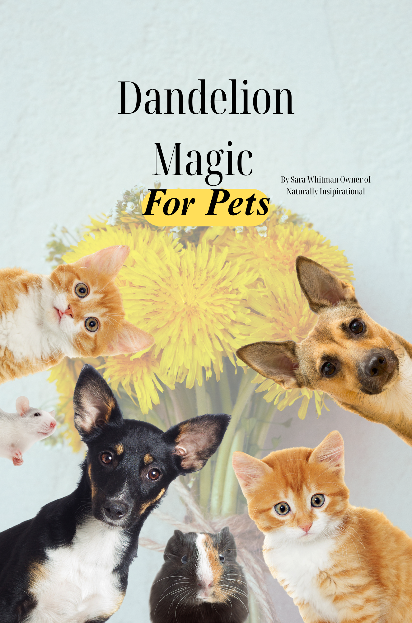 Dandelion Magic