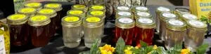 Jelly - Handcrafted By Naturally Inspirational.